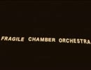 Fragile Chamber Orchestra