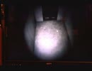 【PS4】P.T. part6