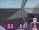 ゆかりさんと飛ぶFSXの空　国内ロングフライト編