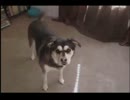 私の家 pt 1