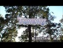 【ニコカラ】　Tummy　RADWIMPS　【off vocal】