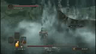 竜騎のゲーム実況【ダークソウルⅡ】 Part53「アマナウタモンフシビョウ」