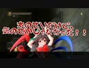 【正体不明と傘と奇跡】東方絶望録/其之十四【ダークソウル２】