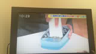 【放送事故】サタナビっ！大根おろし回