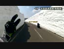 【2014 】v(・∀・)Yaeh! 総集編 Part2