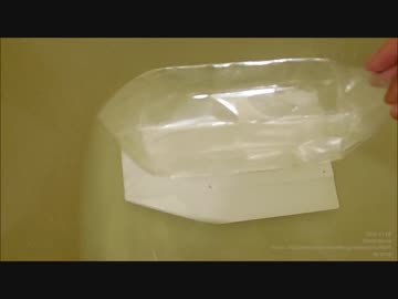 着水時にボートを展開する折り紙飛行機