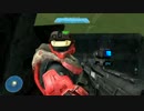 Halo bigass