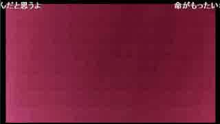 （鮫島）だるま来店で親則暴れ敗走続き