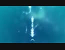 【プレイ動画】flOw 【PS4】