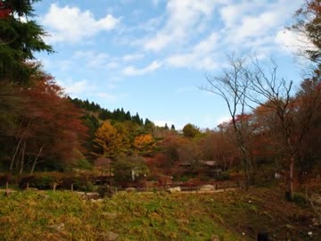 中型免許を取ったからバイクを買うよ！36話　紅葉お散歩ツーリング