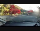 【車載】山道ドライブ2014-64 紅葉 広島県 深入峠