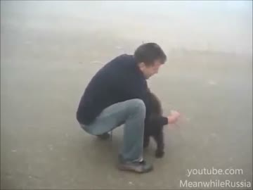 【閲覧注意】　クマに襲われる人間　