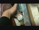 手からmgmg