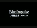 ブルーインパルス SVer.mp4