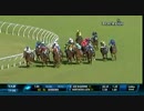 日本関連外国調教馬の活躍集 4（アジア,アフリカ,オセアニア編その２）