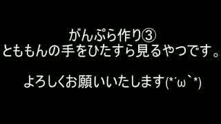 とももんの手をひたすら見るやつ　がんぷら作り③