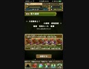 【パズドラ】大泥棒参上！TA 50秒【超地獄級】