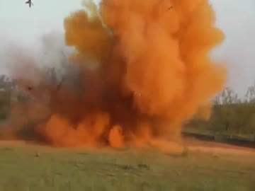 野ブタ爆破駆除(海外）