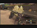 【MHP2】ちっちゃくても雷帝 2/3 角壊編2