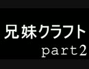 兄妹クラフト -part2-