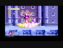 【TAS】星のカービィWii フリーラン