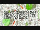 【ゆっくり怪談】金魚を飼っている【怖い話】