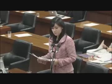 上西小百合　VS　有村治子