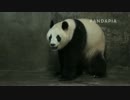 20140718 AM0934 月亮産室 成績の出産。姿勢を変えるが赤ちゃんは出て来なかった。