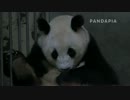 20140723 AM0947 月亮産室 成績は成就を抱いて座っている。顔のアップ。