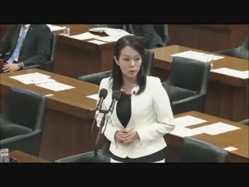 杉田水脈（次世代の党） 衆議院内閣委員会