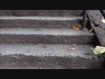 【しょうこ♂】オカマが山寺に行ってきた（登山編）2【おひとりさま】