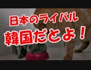 【日本のライバル】 韓国だとよ！