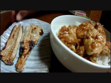 【かーびーの釣り日記】part35 サゴシリベンジ！