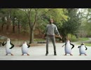 Do the #PenguinShake with MARQUESE SCOTT | PENGUINS OF MADAGASCAR