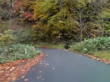 孤独男が行く国道352号線パート1