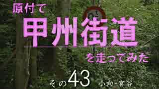原付で甲州街道を走ってみた（その43）小向-宮谷