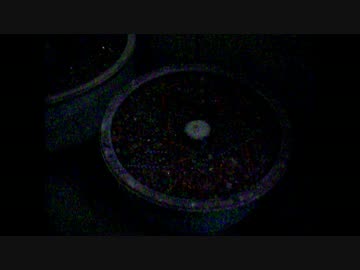 天然石研磨の様子2.wmv