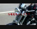 【スティードsteed 】九州男児の北海道ツーリングPart.4 オロロンライン編】