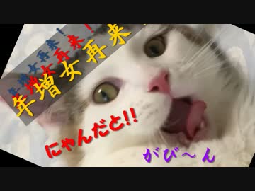 １ミリも知らない年増女　再来！ちくわつき