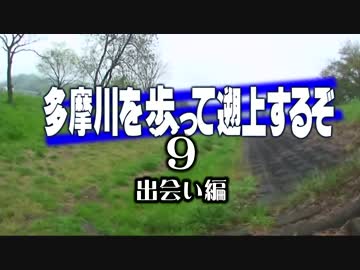 （修正版）多摩川を歩って遡上するぞ９【出会い編】