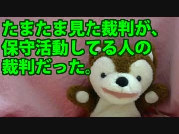 たまたま見た裁判が、保守活動してる人の裁判だった 【どうぶつさん】