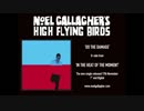 Noel Gallagher's High Flying Birds - Do The Damage (Audio Video)