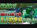 【実況】フリーダムな自分が梅星さん主催DLC初見杯に参加した。