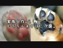 【ゆっくり怪談】コタツでネーム【怖い話】