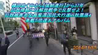 【2014/11/15】拉致被害者全員奪還国民大行進in秋葉原4