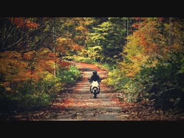 【RS】秋の山と古都ツーリング PV