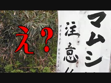 【ゆっくり旅行】多摩川を歩って遡上するぞ11【彷徨編】