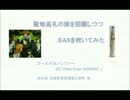 【巡礼記録】ガルパン＿聖地巡礼の旅を回顧つつＳＡＸを吹いてみた。