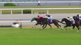 競馬場の養分【第39回エリザベス女王杯】