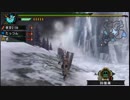 ≪MHP3rd≫ 裸族が行くモンハン日記 ≪漆≫